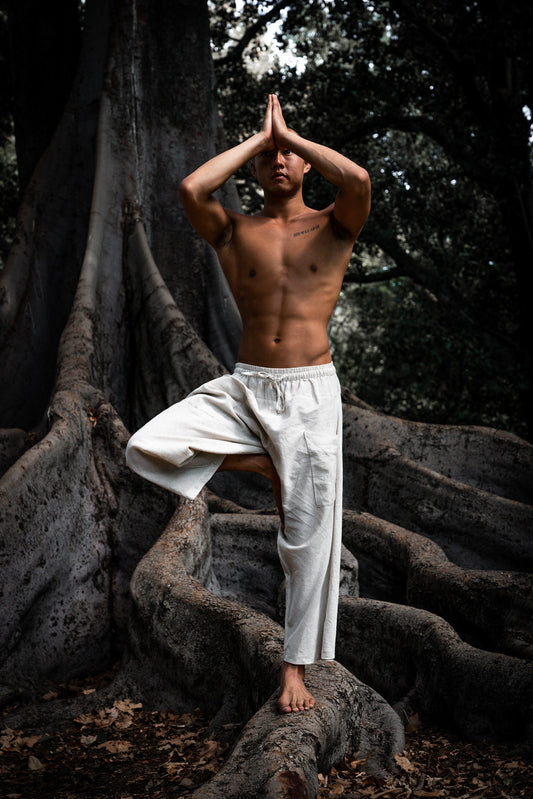 Men's Yoga Shorts Long Shorts Eco Friendly Jersey Organic Clothing 